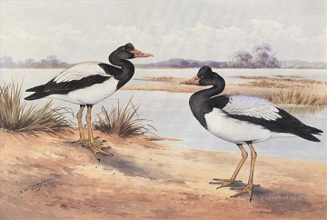 カササギの鳥 Oil Paintings
